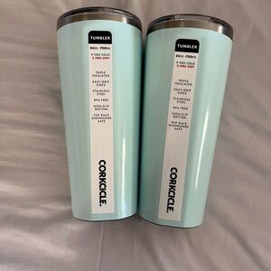 Corkcicle Mint Tumbler Duo